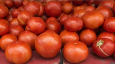 1464191188nigeria-tomato-emergency.jpg