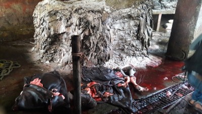 slaughter house of kathmandu