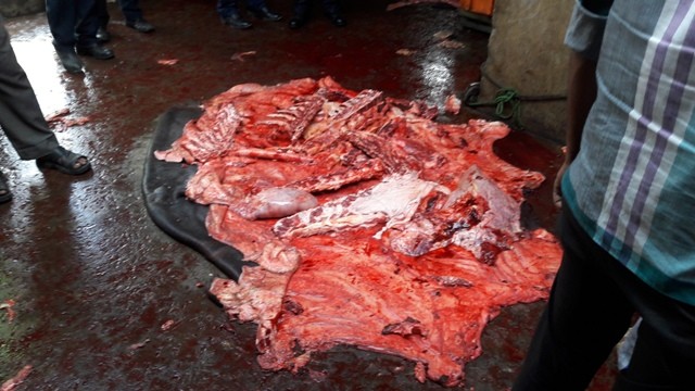 slaughter house of kathmandu