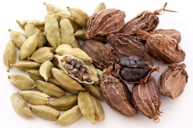 Cardamom