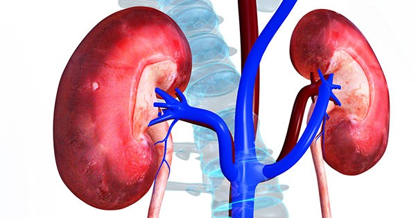 Damaged Kidney