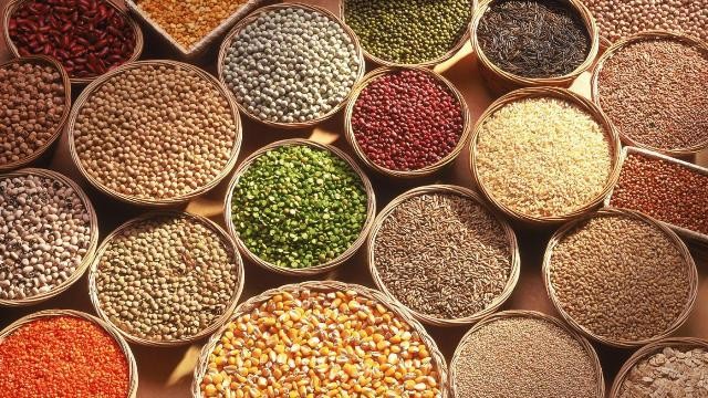 different types grains