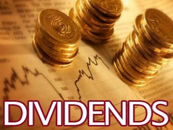 dividend