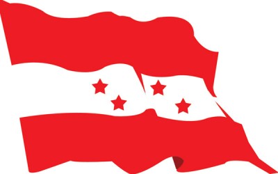 1479777729flag-of-nepali-congress.jpg