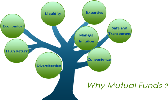 mutual fund tree