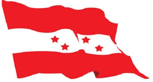 Nepali congress flag