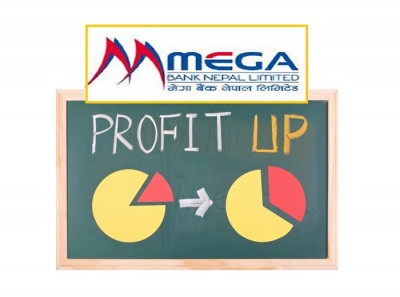 mega bank profit up