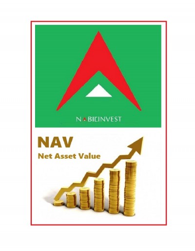 nabil investment banking