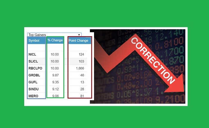 gainers in correction market