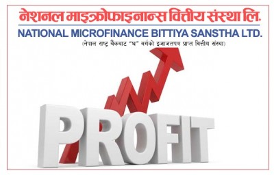 National Micro-Finance