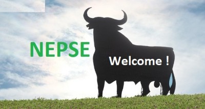 1501591302bull-nepse.jpg