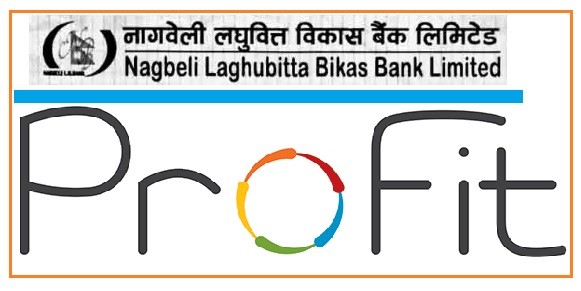 nagbeli laghubitta bikas bank ltd