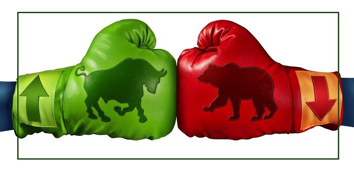 bull vs bear market