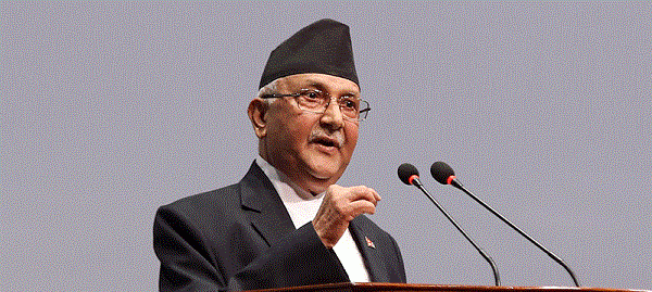 kp oli