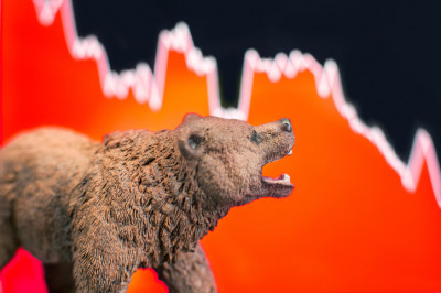 1583326114bear-market0.jpg