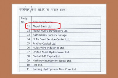 ओटिसी मार्केटमा कारोबार हुने कम्पनीको पहिलो नम्बरमै नेपाल बैंक ! यस्तो रहेछ कारण