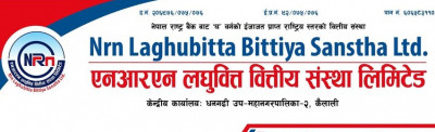 nrn laghubitta bittiya sanstha limited
