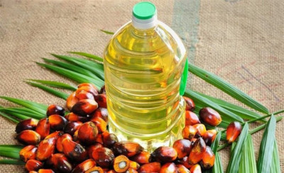 1601547025palm-oil.jpg