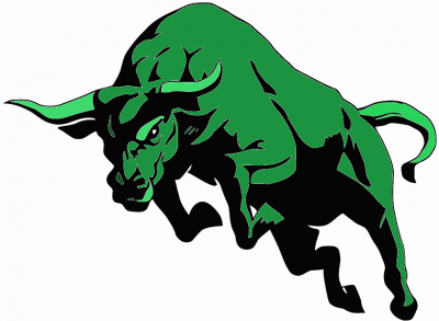 1621245192green-bull.png