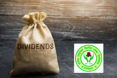 1632717219dividends.jpg