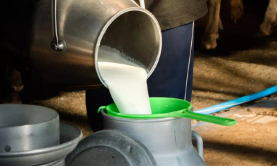 1643688286milk.jpg