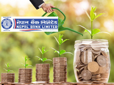 नेपाल बैंकले खूद नाफा बढायो, इपीएस भने घट्यो