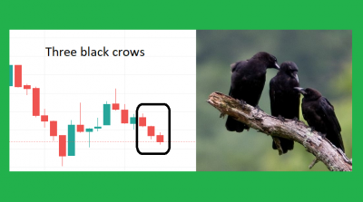 1662715871three-black-crows.png