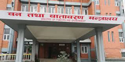 तिहार र छठमा प्लास्टिकजन्य फूलगुच्छा र माला बिक्री गरे रु. १ लाखसम्म जरिवाना