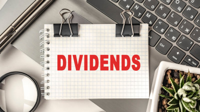 1672142824dividends.jpg