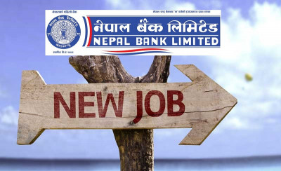नेपाल बैंकमा जागिर खुल्यो, ४६ जनालाई अवसर