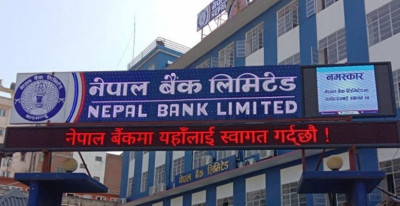 इम्पेयरमेन्ट चार्ज बढ्दा नेपाल बैंकको नाफामा भारी संकुचन, ईपीएसमा पहिरो