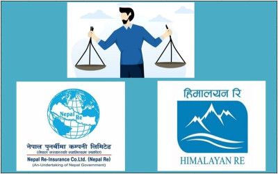 नेपाल रि र हिमालयन रिको तुलनात्मक वित्तीय विश्लेषण, को केमा अब्बल ?